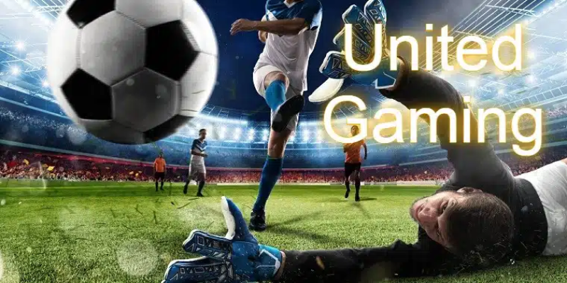 Một số lưu ý khi đặt cược trò chơi United Gaming trên Mksports